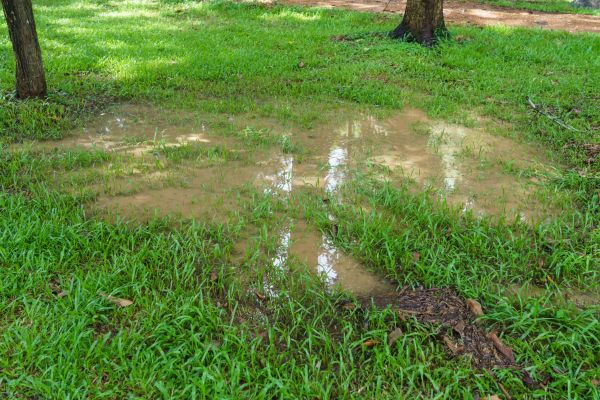 Cost of Storm Water Drainage Service in Missoula