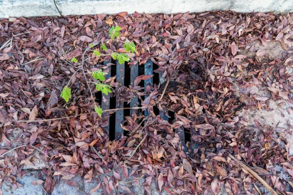 Cost of Yard Drain Unclogging in Missoula