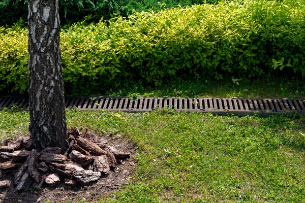 Cost of Wet Yard Drainage in Missoula