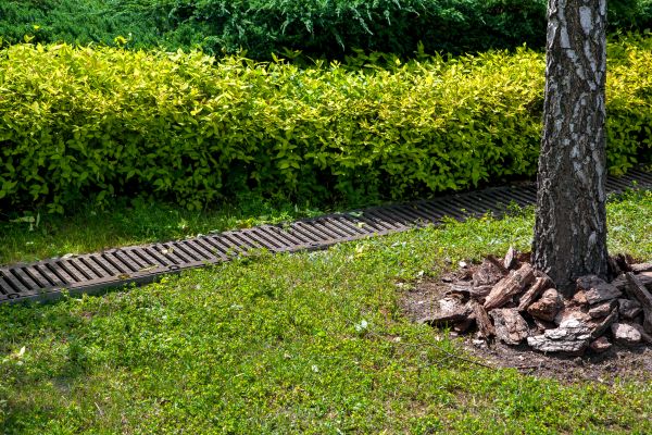 Cost of Residential Landscape Drainage in Missoula