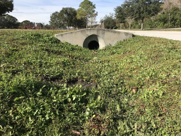 Cost of Swale Drainage Service in Missoula