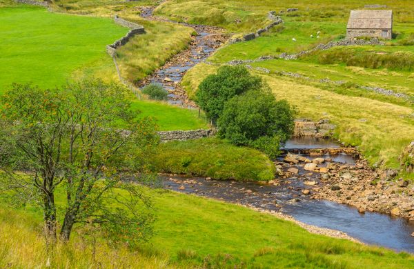 Cost of Swale Repair in Missoula